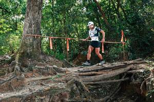 BIB: 
                            <button type="button" onclick="openModal(27801950)" class="btn btn-primary btn-sm float-right btn-popup" data-toggle="modal" data-target=".modal-high-quality">
                        <i class="fas fa-shopping-cart"></i> Add to Cart
                    </button>
                                            <button type="button" onclick="isThisMe(27801950, true)" class="btn btn-success btn-sm float-right btn-popup btn-isme hidden" data-toggle="tooltip" data-placement="bottom" title="นี่คือรูปของคุณใช่ไหม คลิกที่นี่เพื่อเอาเข้าอัลบั้ม">
                        <i class="fas fa-plus"></i> Add to album
                    </button>
                    <button type="button" onclick="isThisMe(27801950, false)" class="btn btn-warning btn-sm float-right btn-popup btn-isnotme hidden">
                        <i class="fas fa-ban"></i> Remove from album
                    </button>